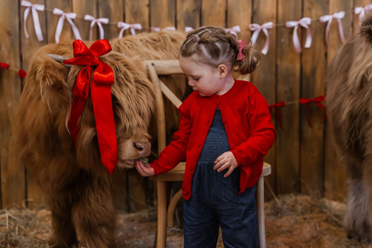 A young child in a red sweater pets a brown horse while standing next to a wooden fence decorated with red bows.