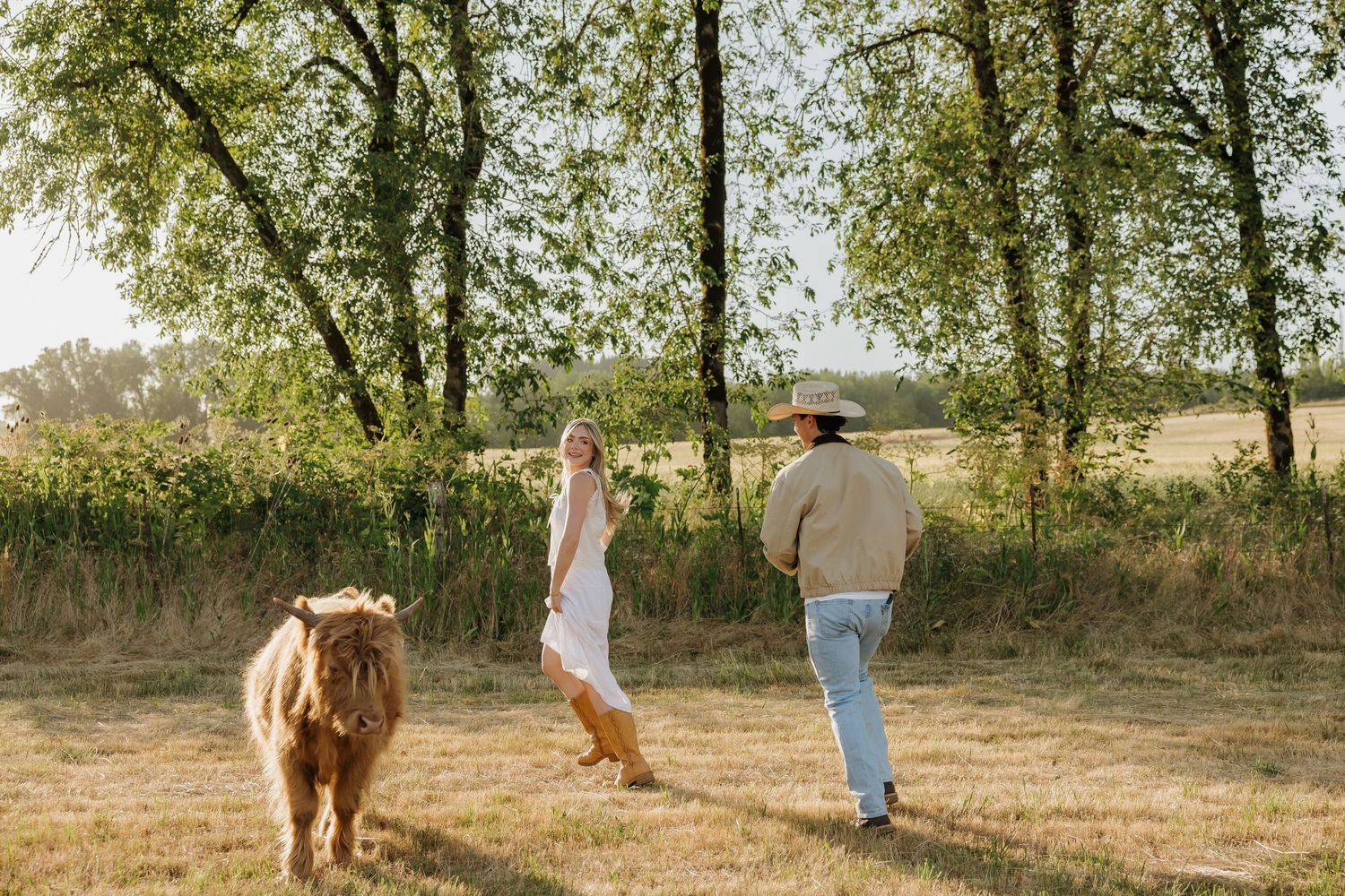A couple in western attire walks alongside a fluffy Highland cow in a sunlit green meadow.