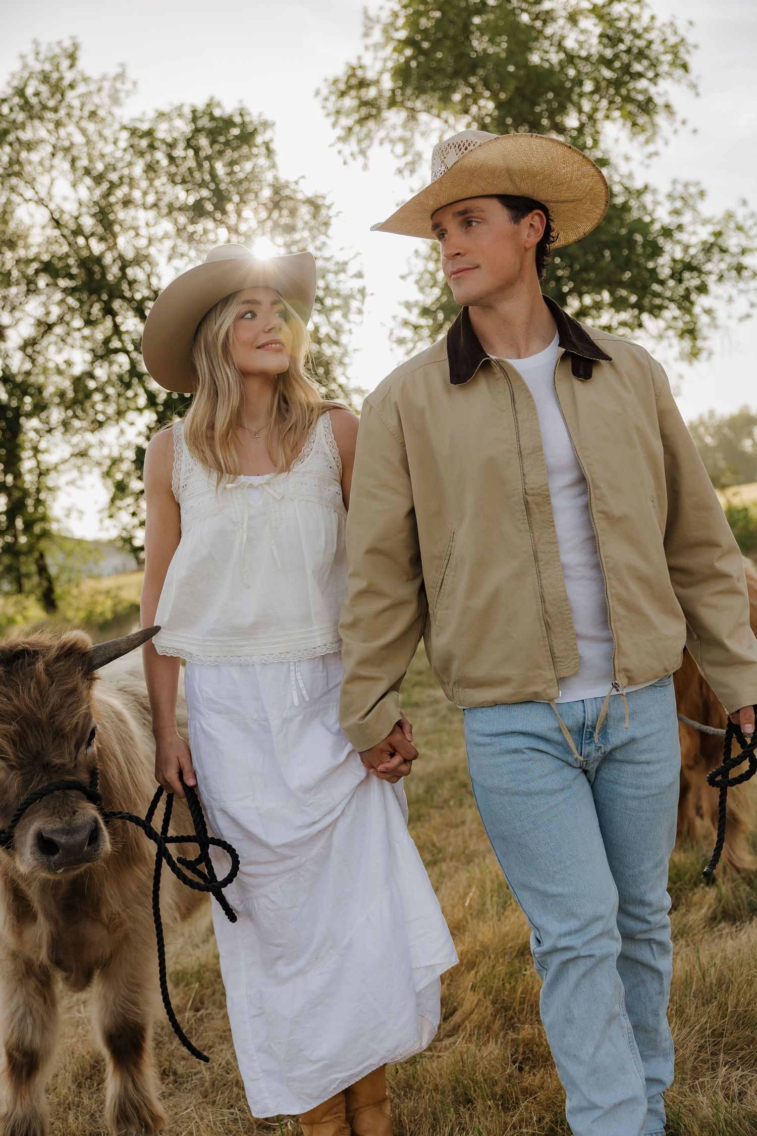 A couple in cowboy hats and western attire hold hands while walking with mini Highland cattle in a sunny field.