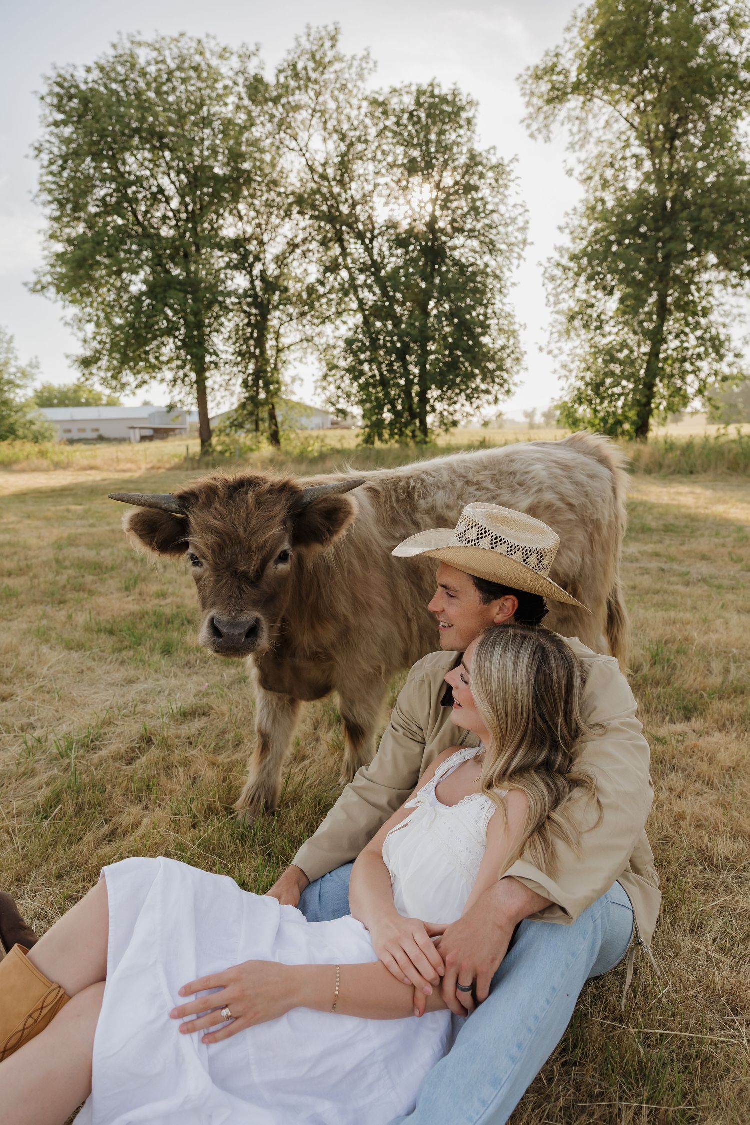 Couple sitting together in a field with a brown cow behind them, man wearing a cowboy hat, woman in a white dress.