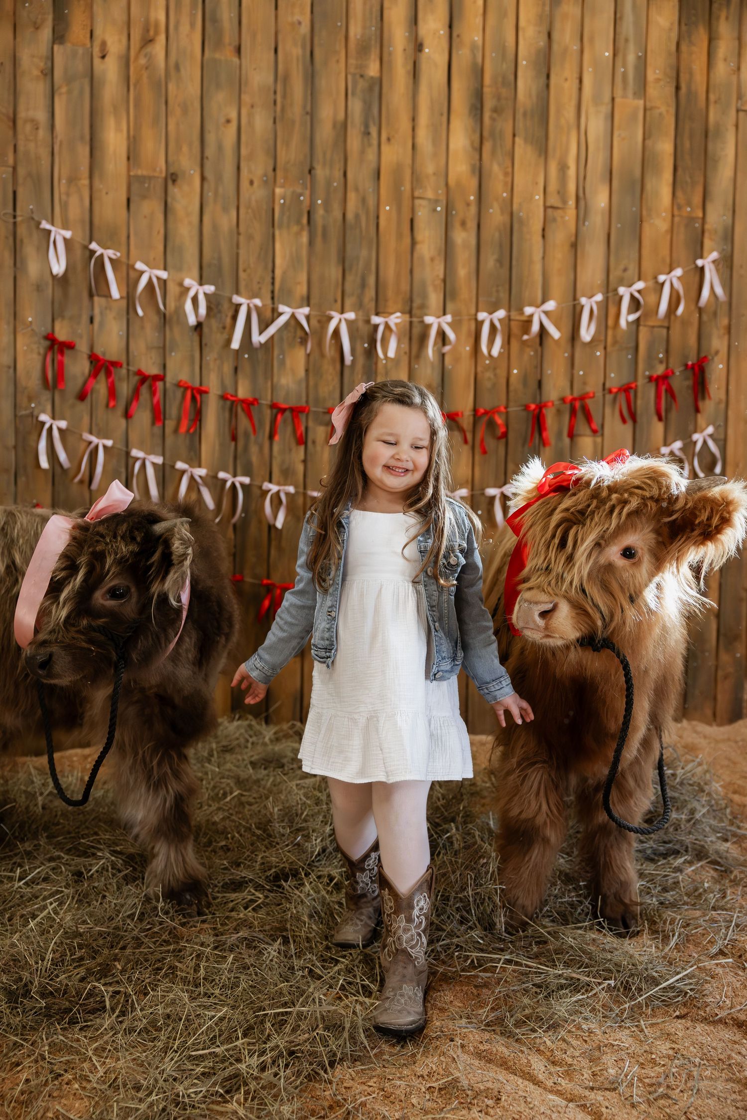 A young child stands between two miniature ponies in a rustic barn setting with decorative banners hanging on wooden walls.