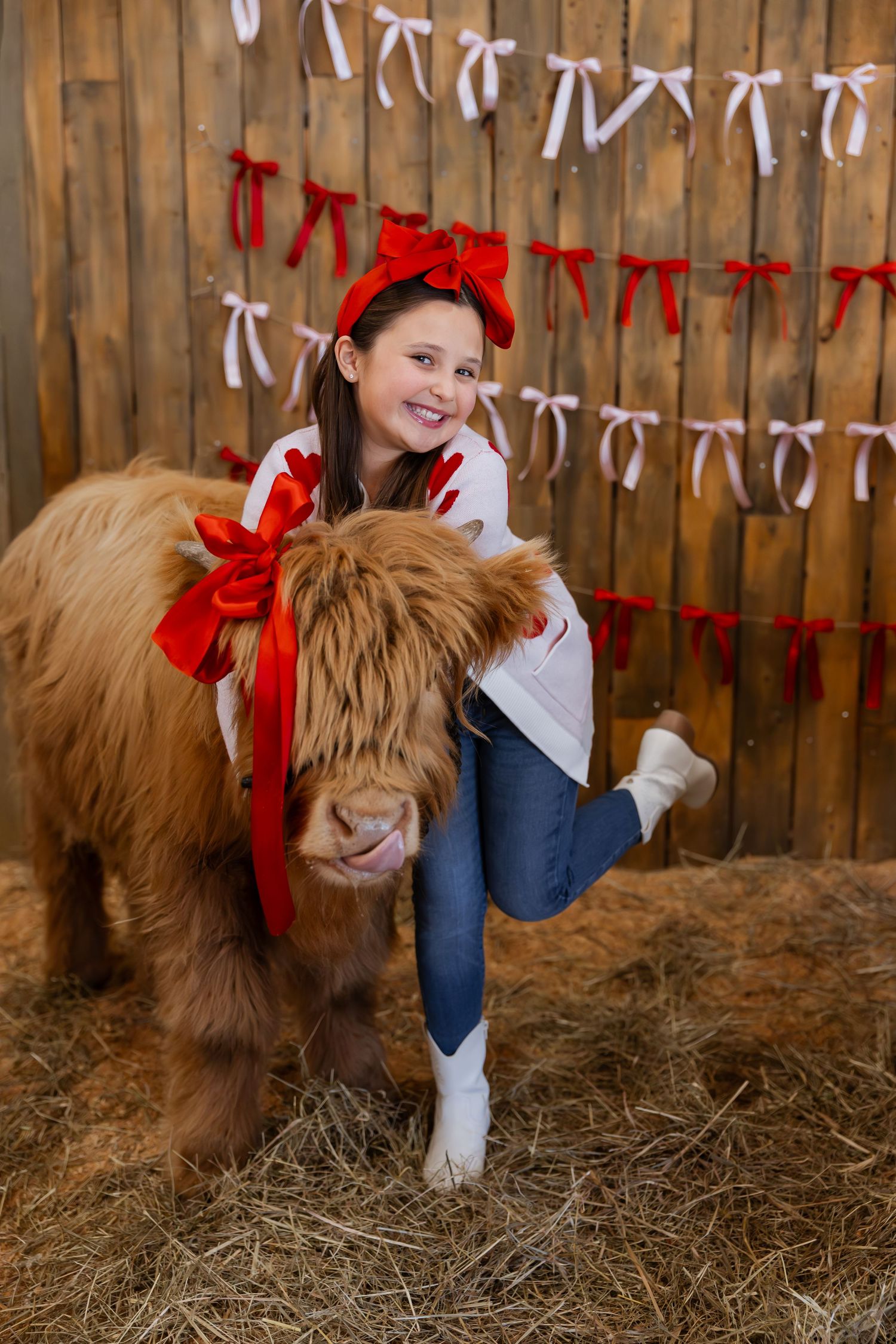 A brown alpaca with fluffy fur stands in a hay-filled barn stall with wooden walls and red ribbon decorations.