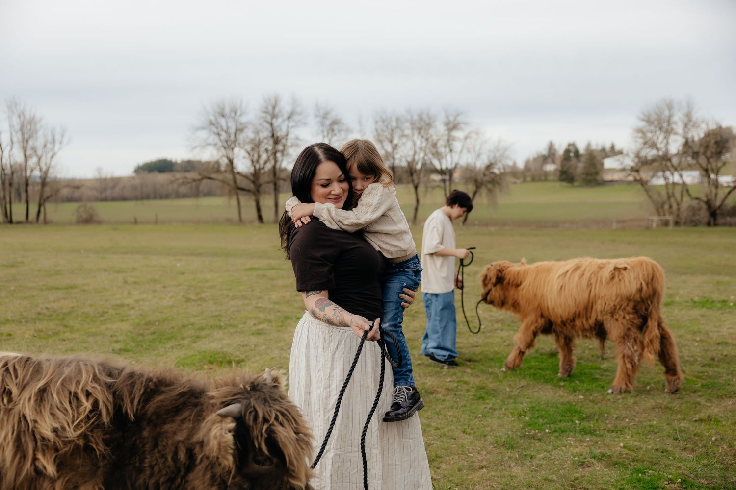 A group of Highland cattle grazing in a green pasture while someone stands nearby with a camera.