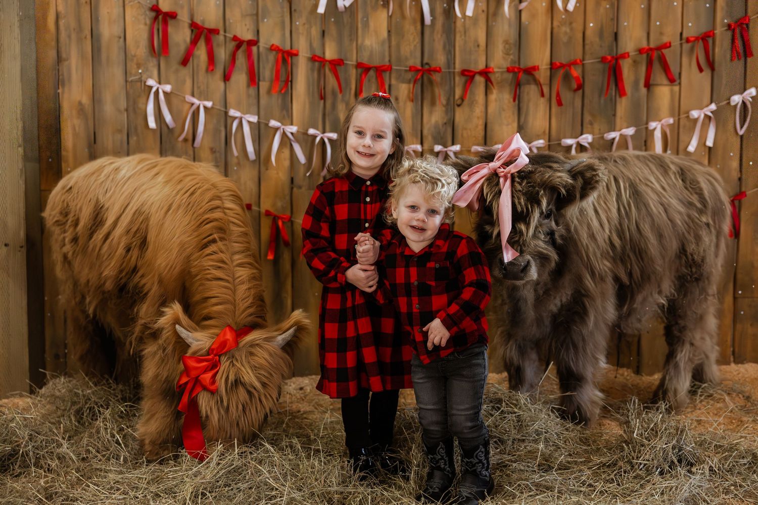 A series of holiday photos showing a dog and people posing against a wooden fence with festive red decorations.