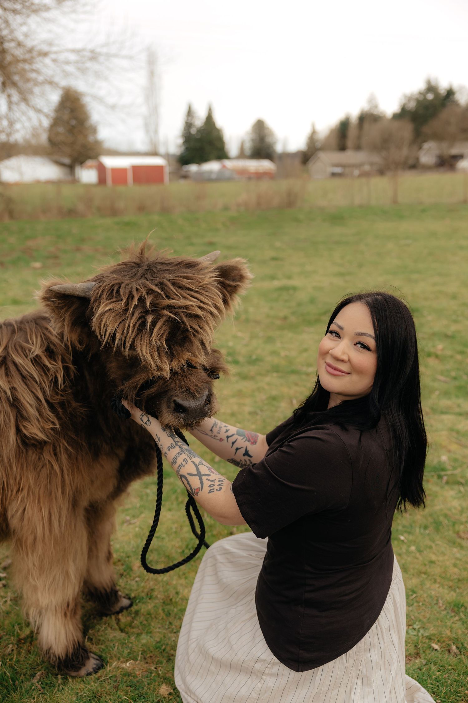 A playful llama interacts with someone wearing a black top in a grassy field with farm buildings in the background.