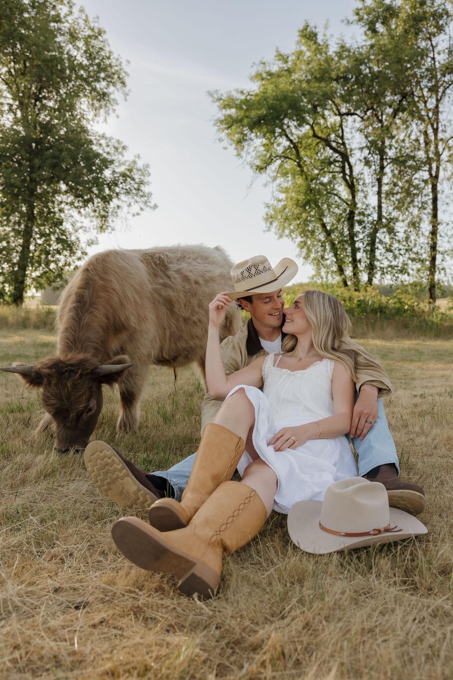 Couple in cowboy hats sitting in a field with a grazing highland cow, wearing boots and a white dress.