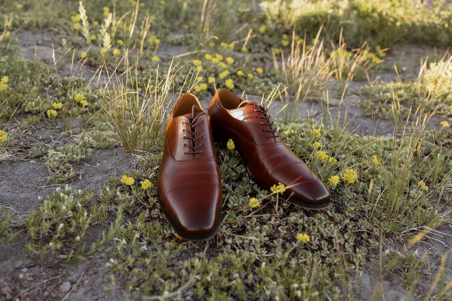 Brown leather dress shoes placed on ground with yellow wildflowers.