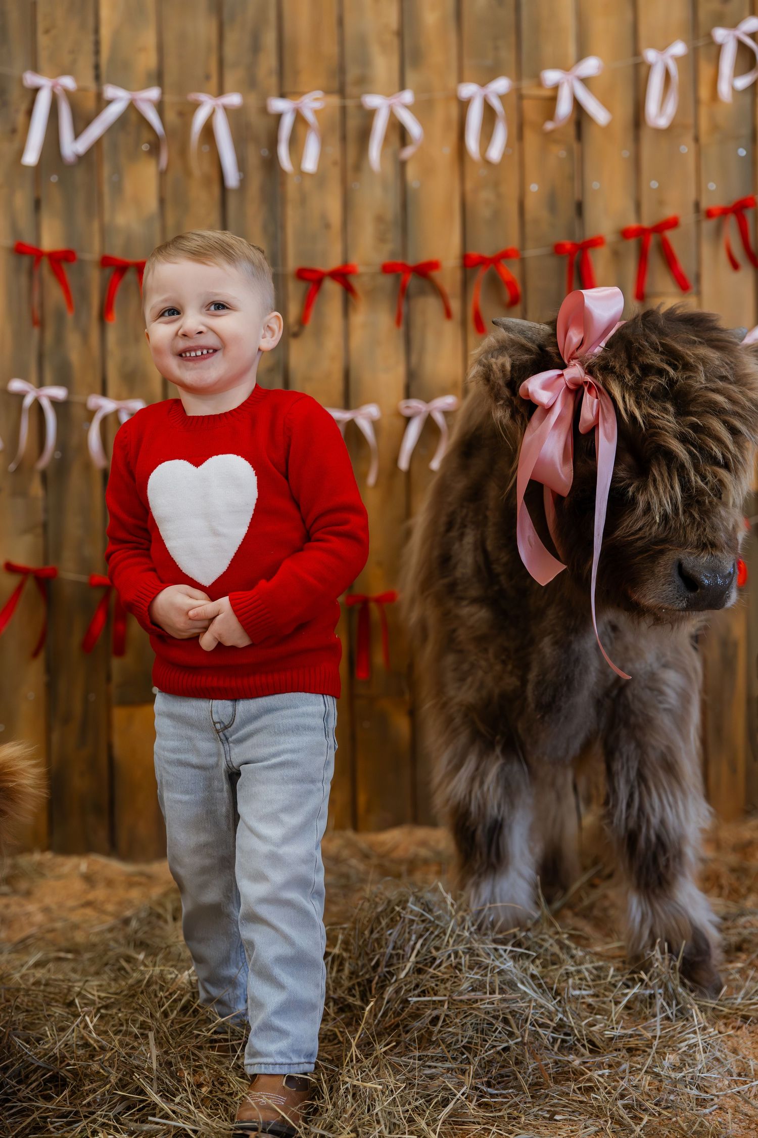 A festive Valentine's scene with a red heart sweater and brown pony decorated with ribbons against a wooden backdrop.