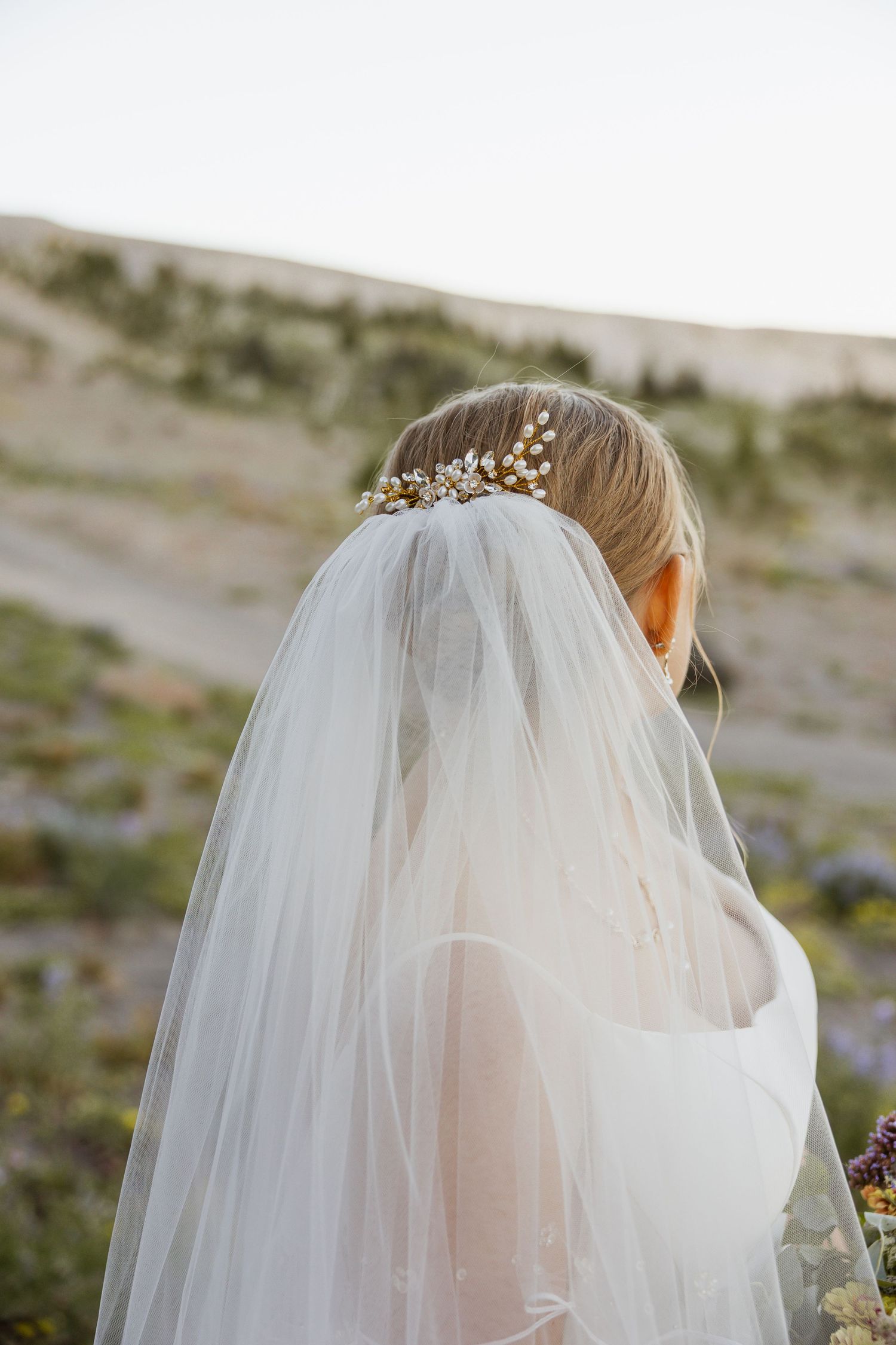 Ethereal back view of bridal veil and hair accessories against desert landscape.