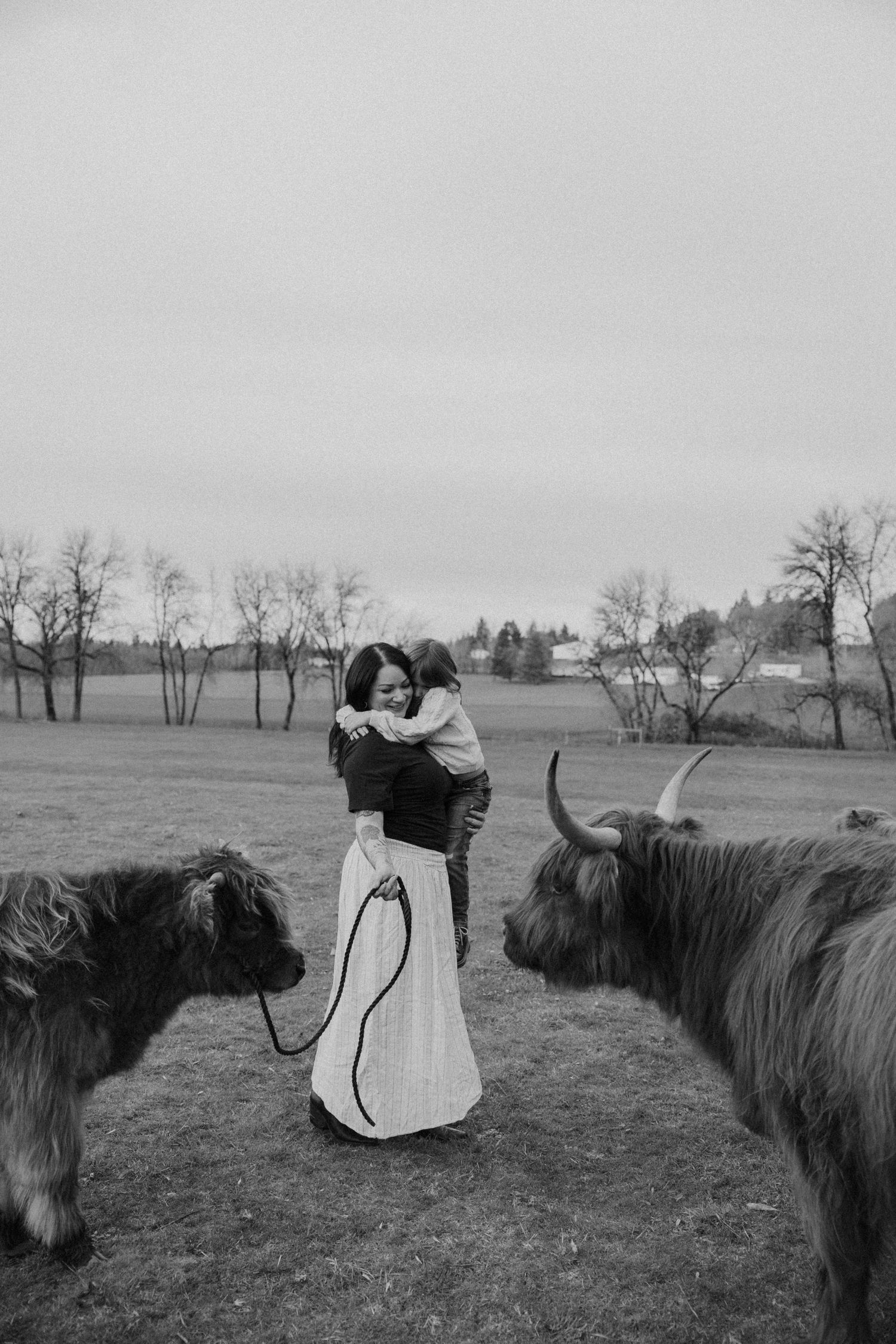 A couple embraces in a field with two Highland cattle standing beside them in black and white photography.