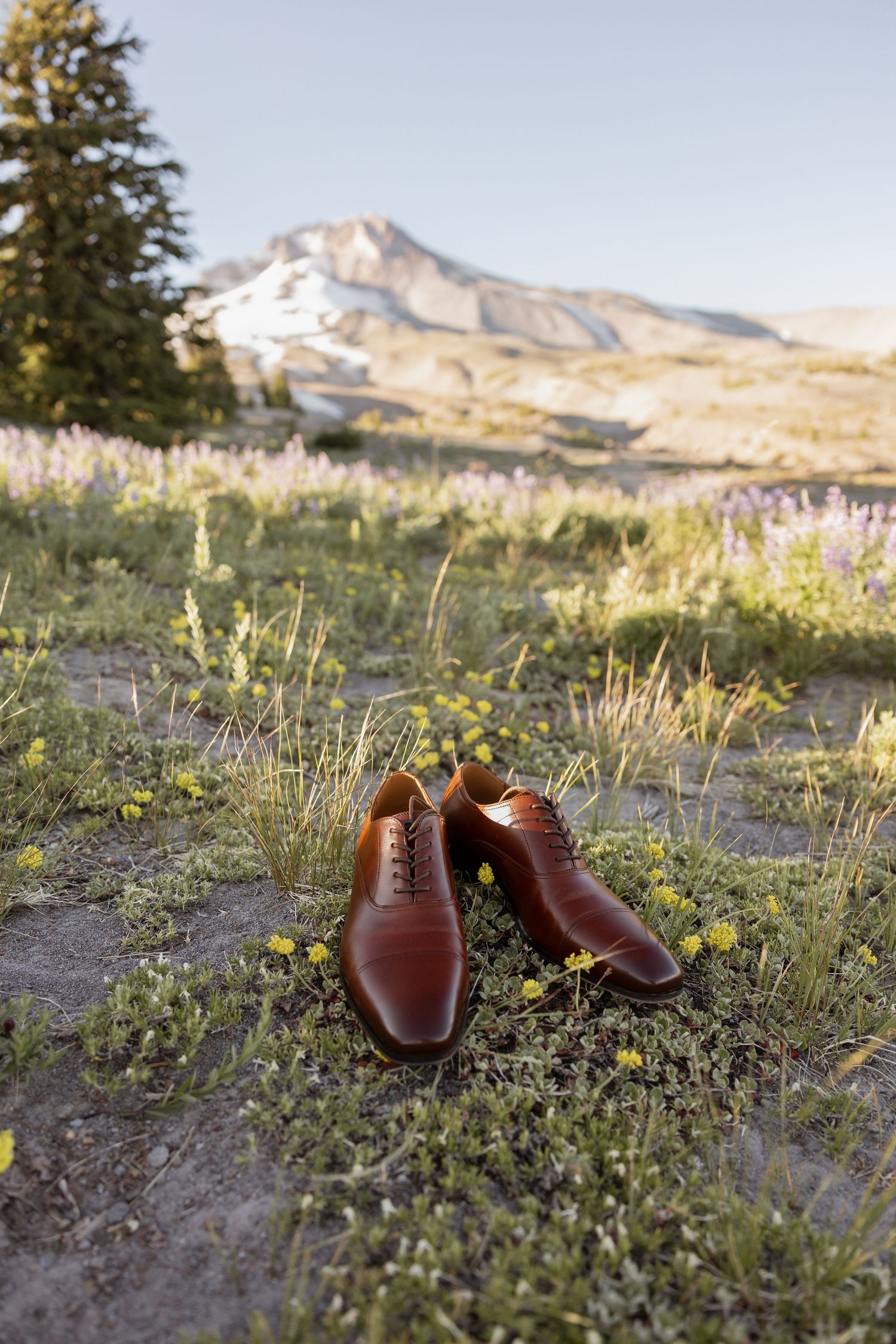 A pair of brown leather dress shoes sits on rocky mountain terrain with wildflowers and snow-capped peaks in the background.