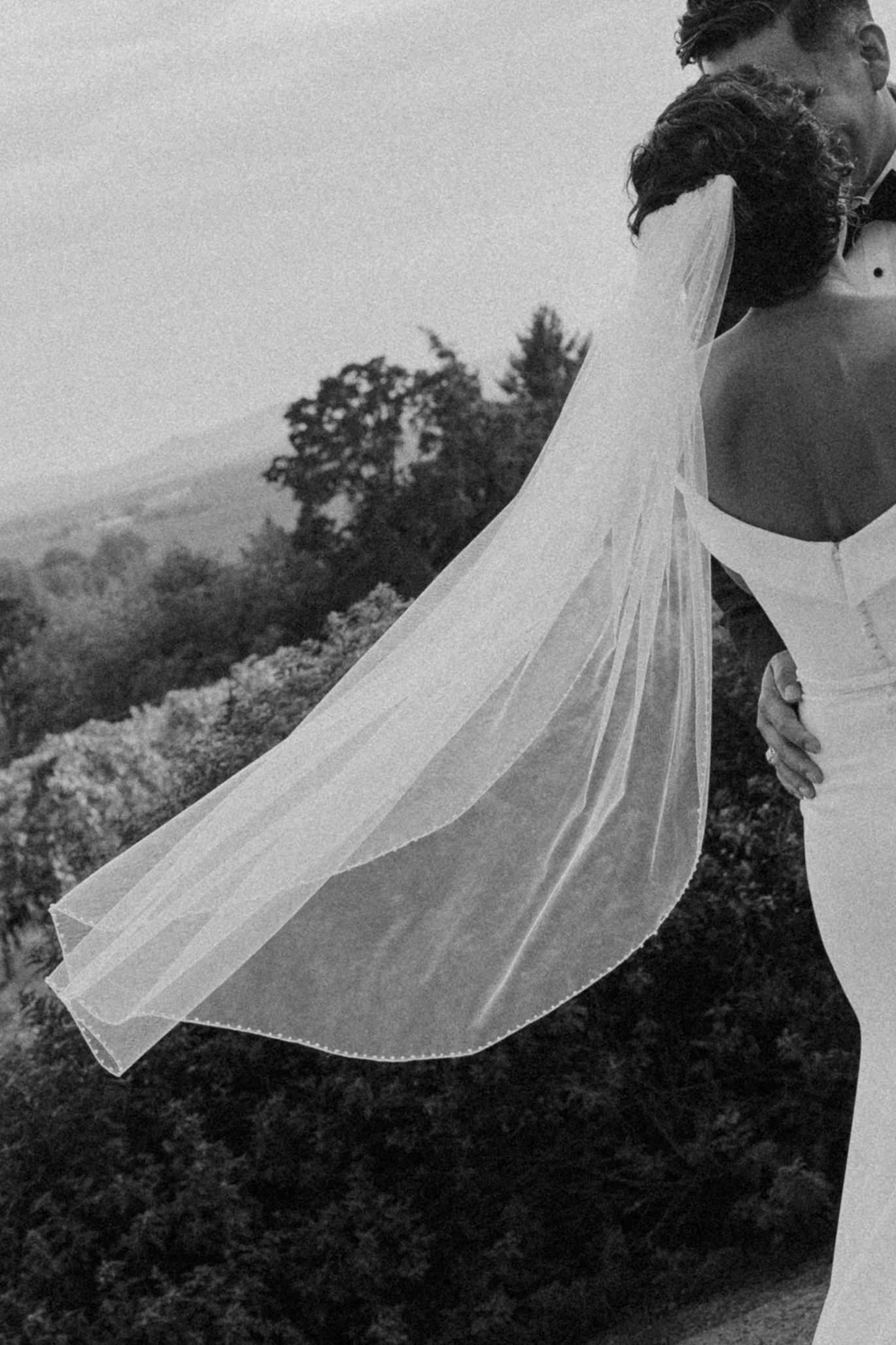 A flowing white wedding veil billows in the breeze against a mountainous landscape backdrop.