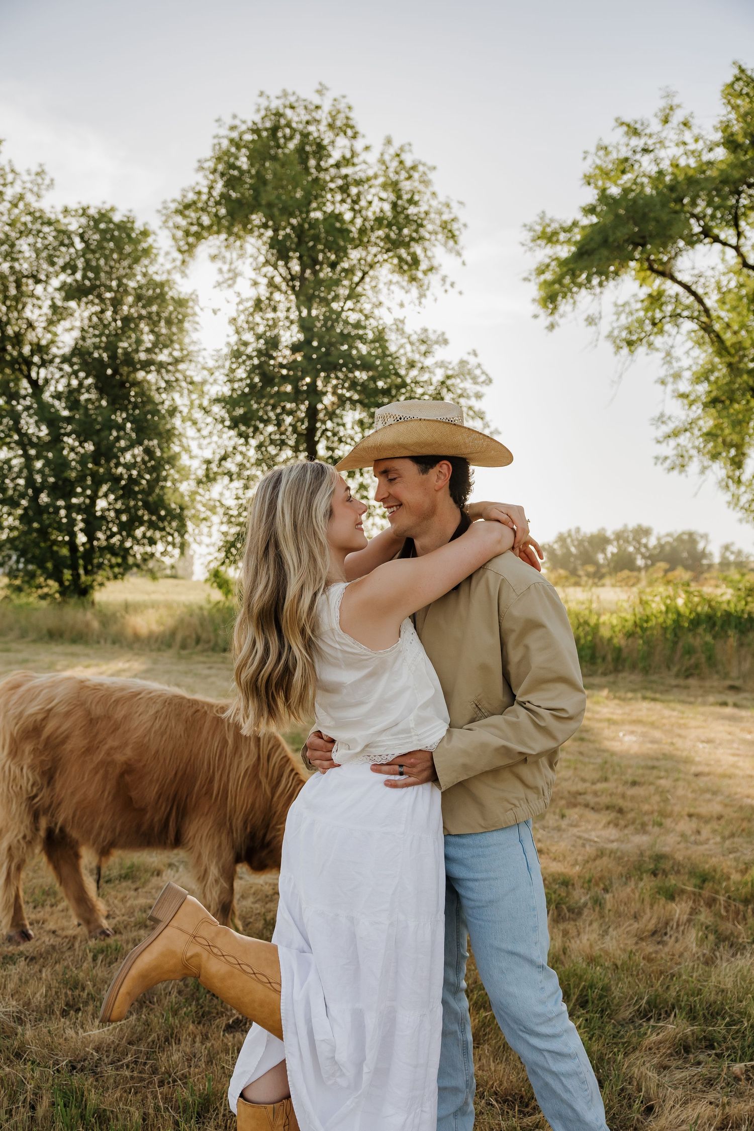 Romantic couple embracing in a sunny field with a Highland cow in the background, woman in white dress and cowboy boots.