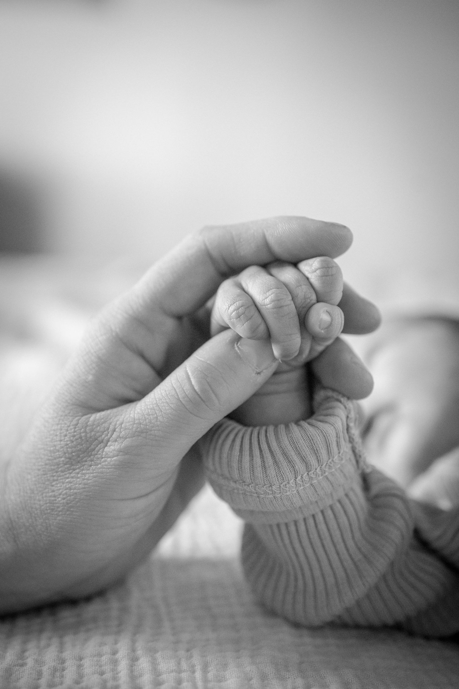 Black and white close-up of tiny baby hand holding adult finger.