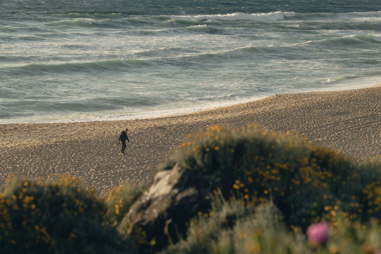 A lone person walks along a sandy beach with rolling waves and colorful wildflowers in the foreground.