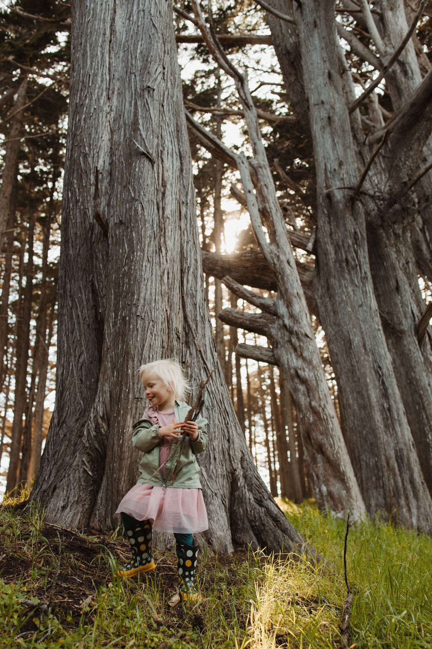 A young blonde girl in a pink skirt stands among towering trees in a sunlit forest, holding a stick.