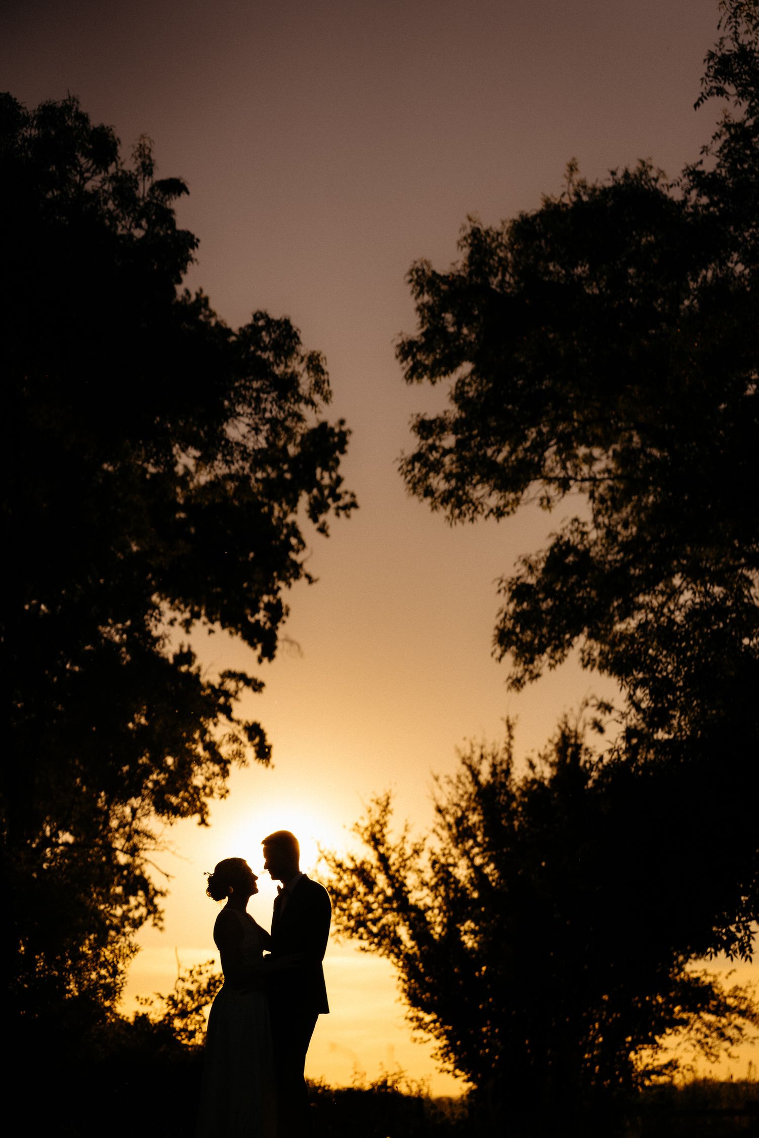 Couple s'enlaçant au coucher de soleil à contre jour, fort contraste, composition minimaliste avec les arbres