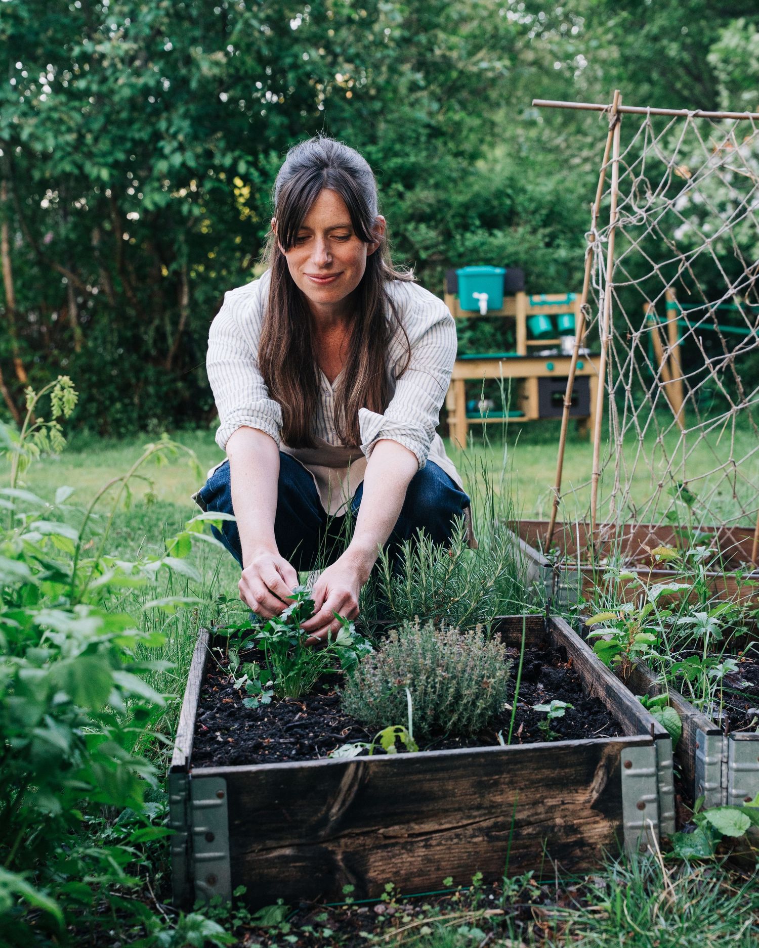 woman picking herbs in her garden in Stockholm, Sweden. A commercial photographer shoot for a cook book, food photography.