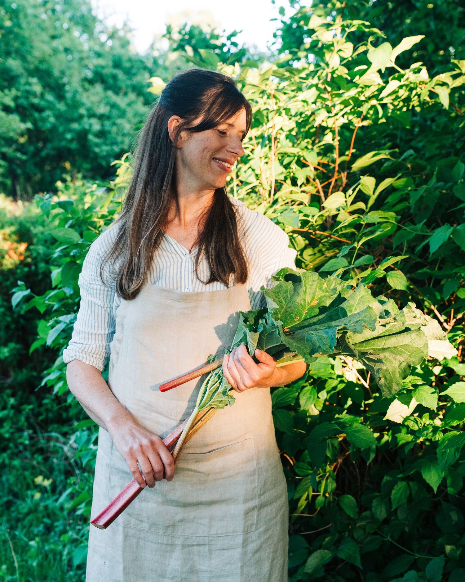 woman holding Rhubarb picked from her garden for a commercial content creation shoot in Stockholm, Sweden