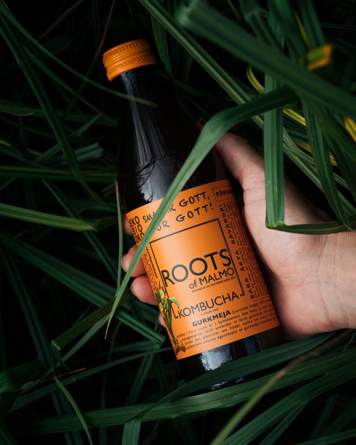 Roots kombucha lifestyle food and drink photography Sweden Lifestyle-fotografering av mat och dryck för Roots Kombucha i Sverige.