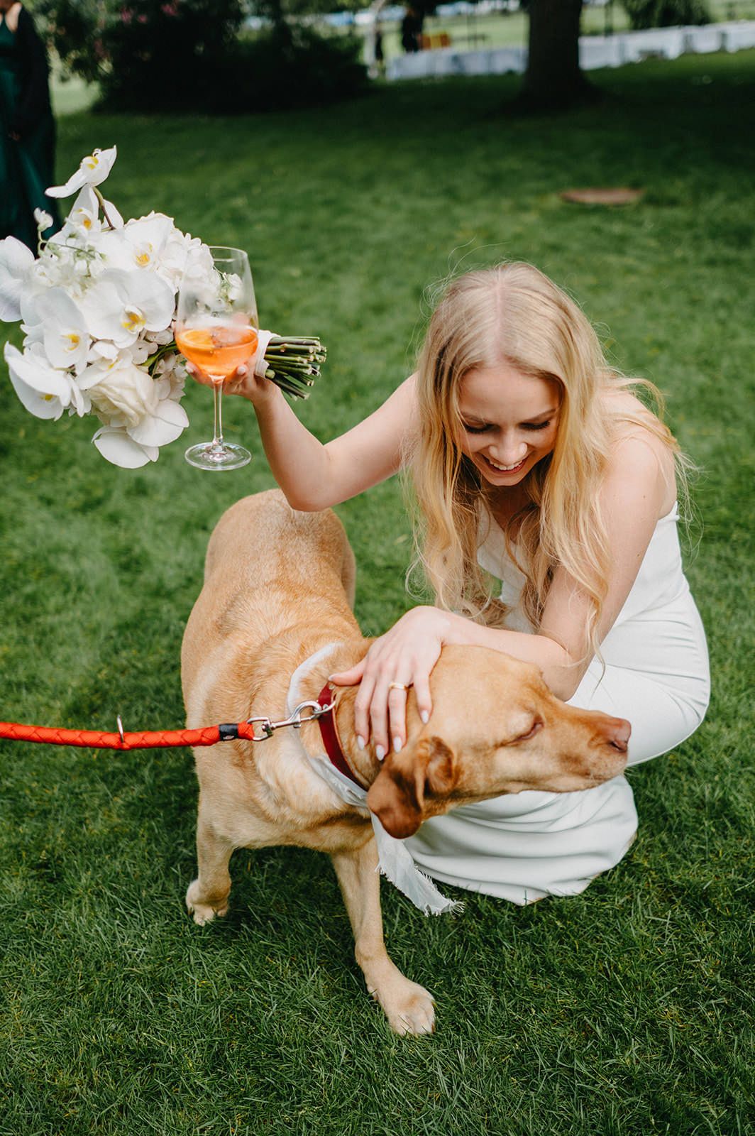 A person in a white dress plays with a golden retriever puppy on green grass while holding a champagne glass.