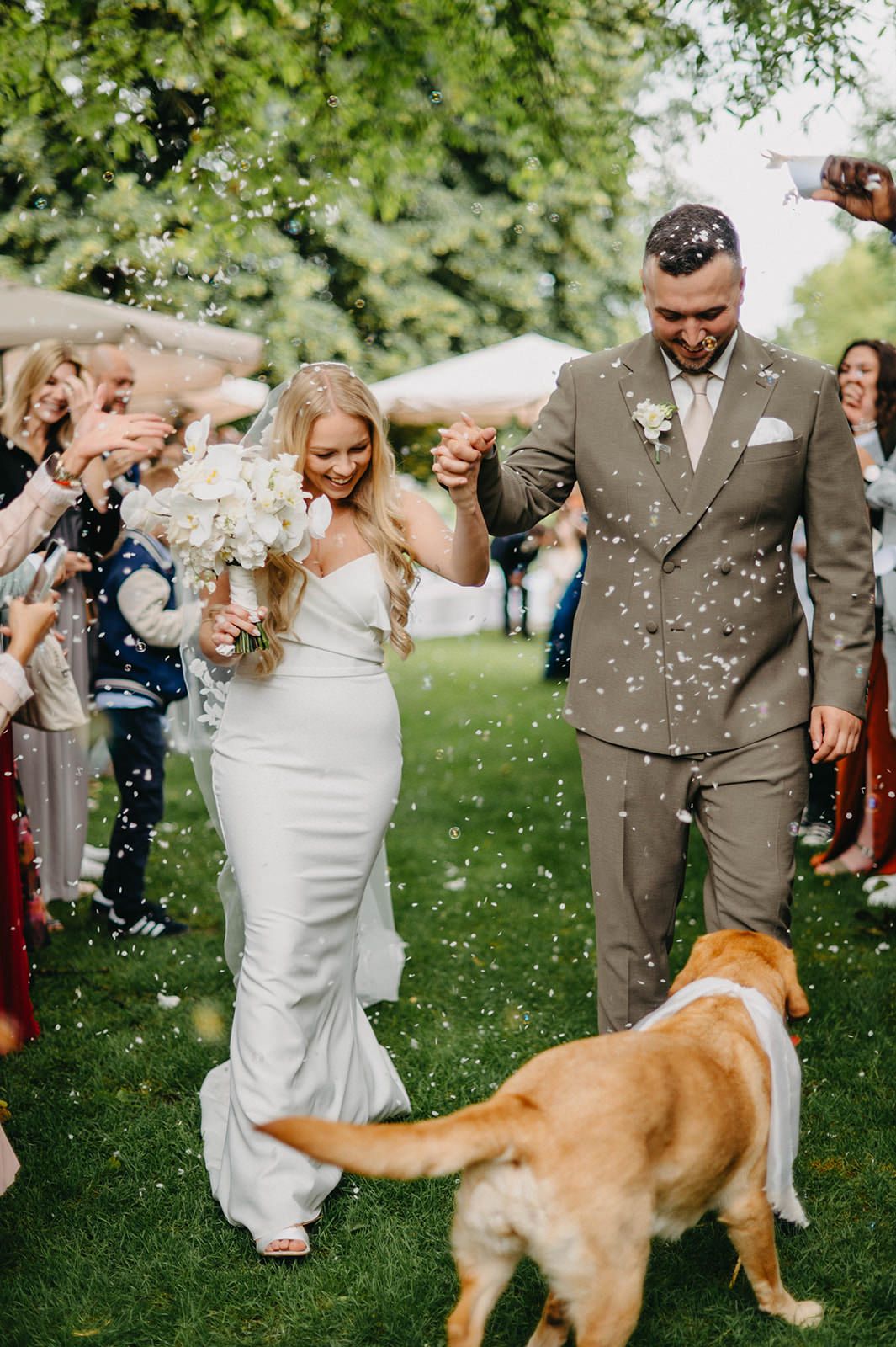 Newlyweds celebrate with guests and a golden retriever during an outdoor wedding recessional with confetti.