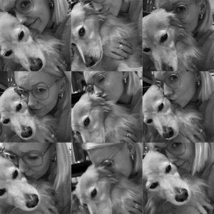 A series of black and white close-up photos featuring a fluffy white dog.