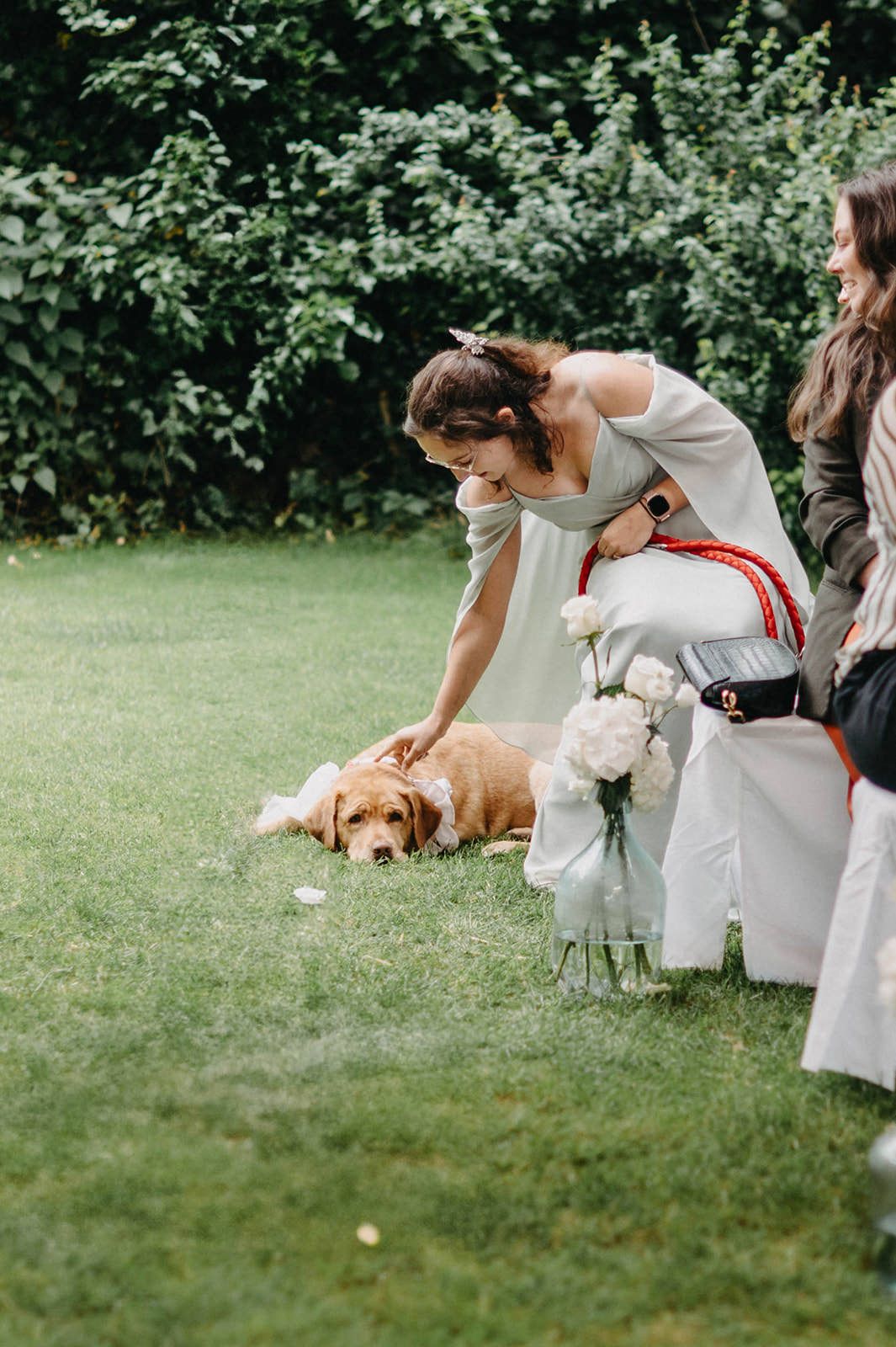 Dogs play and interact with people on a grassy lawn during an outdoor gathering.