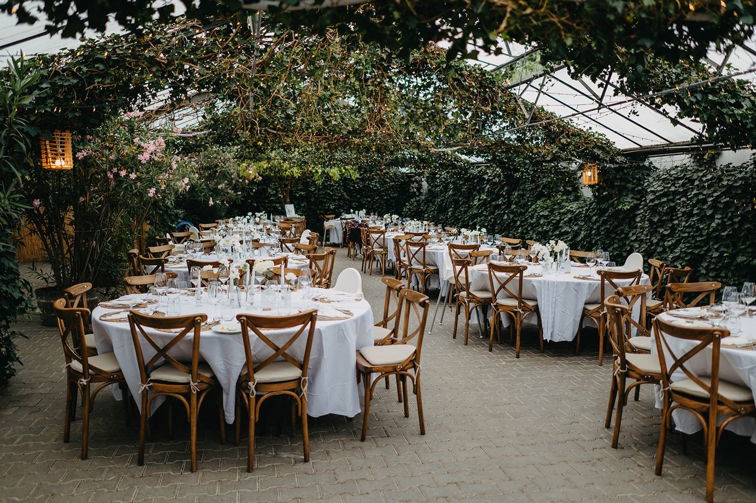Elegant garden reception venue with wooden cross-back chairs and round tables set beneath a glass ceiling and hanging lanterns.