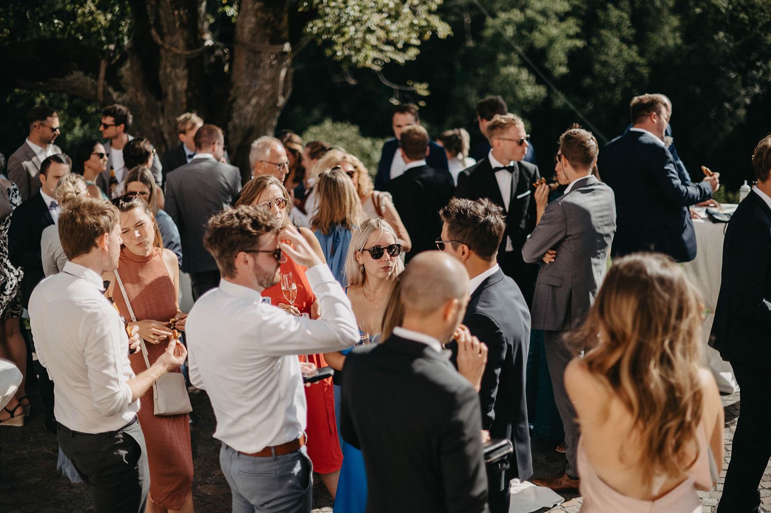Wedding guests gather outdoors for a celebration with dancing and mingling beneath tall trees on a sunny day.