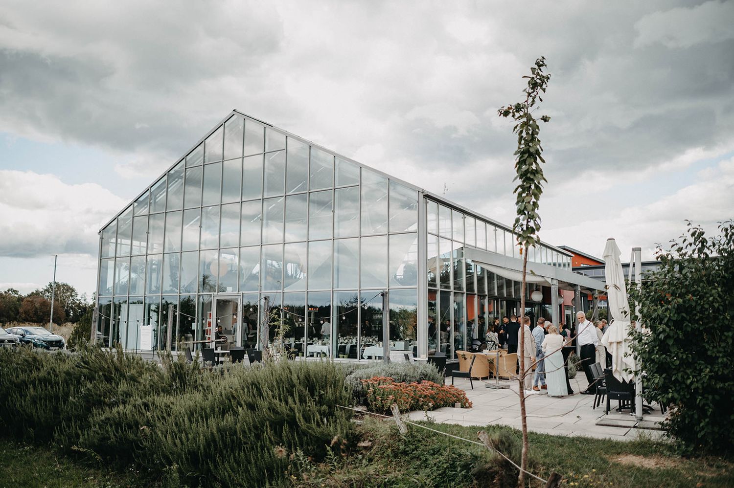 Modern glass greenhouse buildings with reflective surfaces stand against a cloudy sky in an agricultural setting.