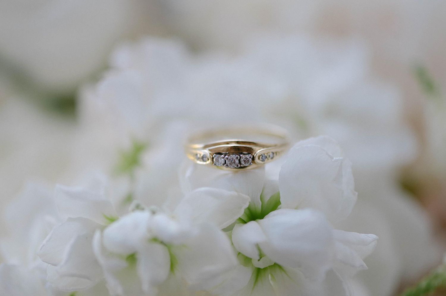 A vintage engagement ring with small diamonds sits atop delicate white flowers in a romantic macro shot.