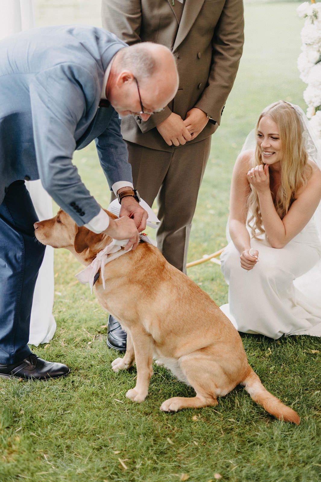 A couple in wedding attire shares a tender moment with their golden retriever dog on a grassy lawn.