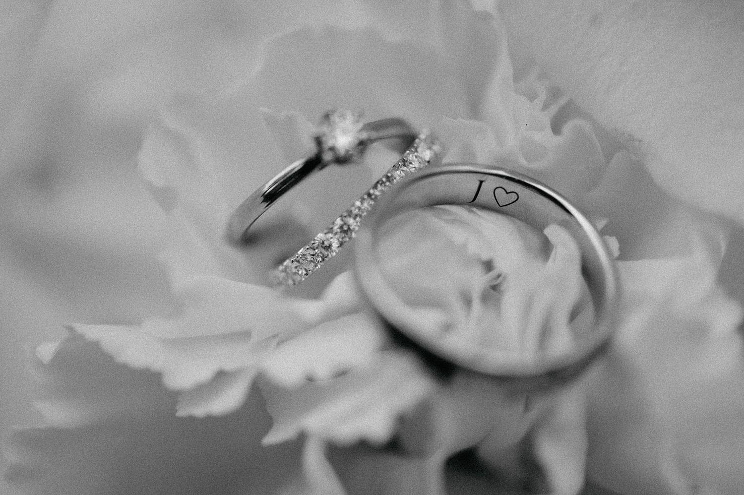 A delicate white orchid flower in soft focus with blurred petals creating an ethereal monochromatic composition.