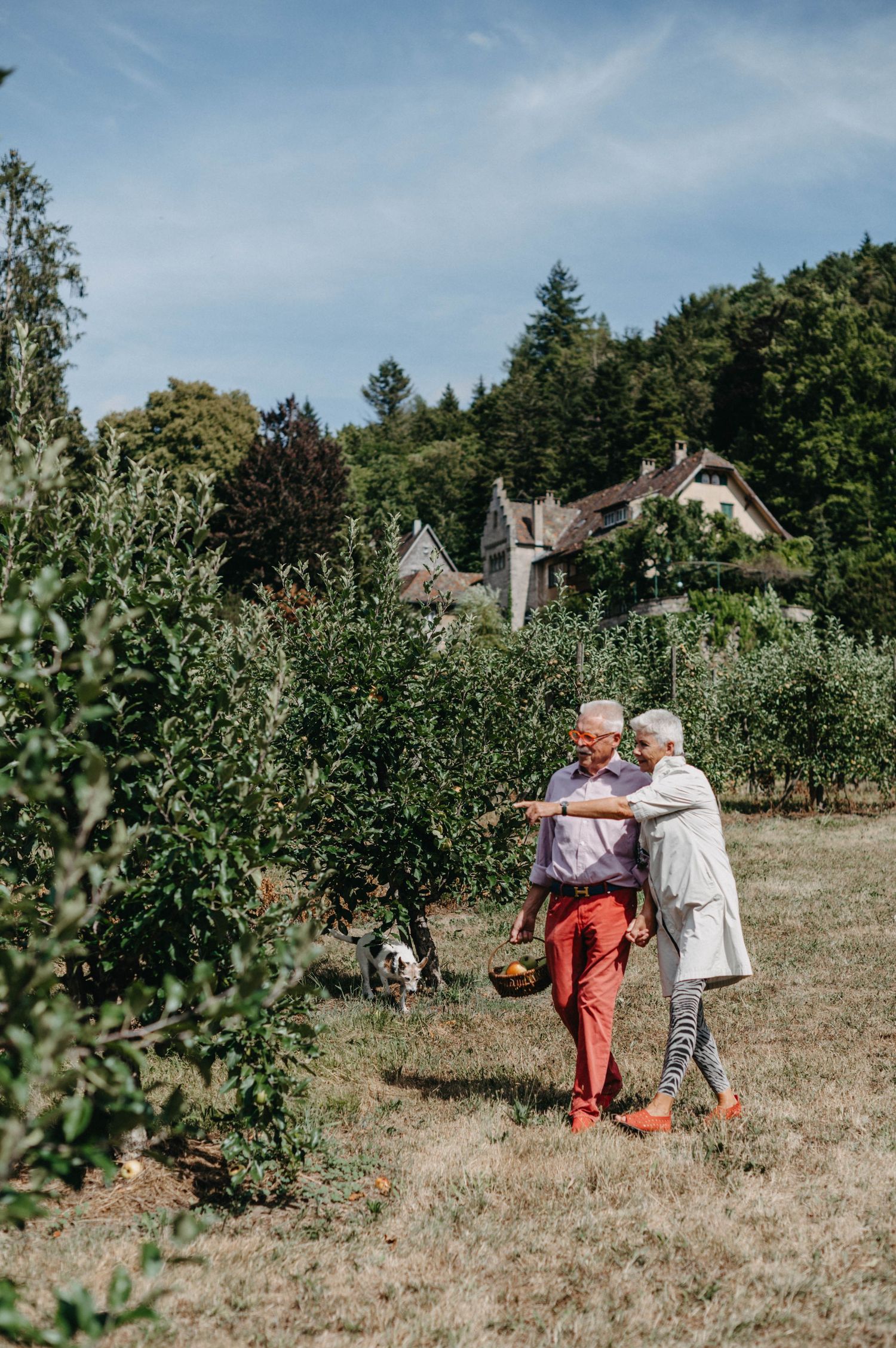 Senior couple embracing in sunny orchard with rustic house in background.