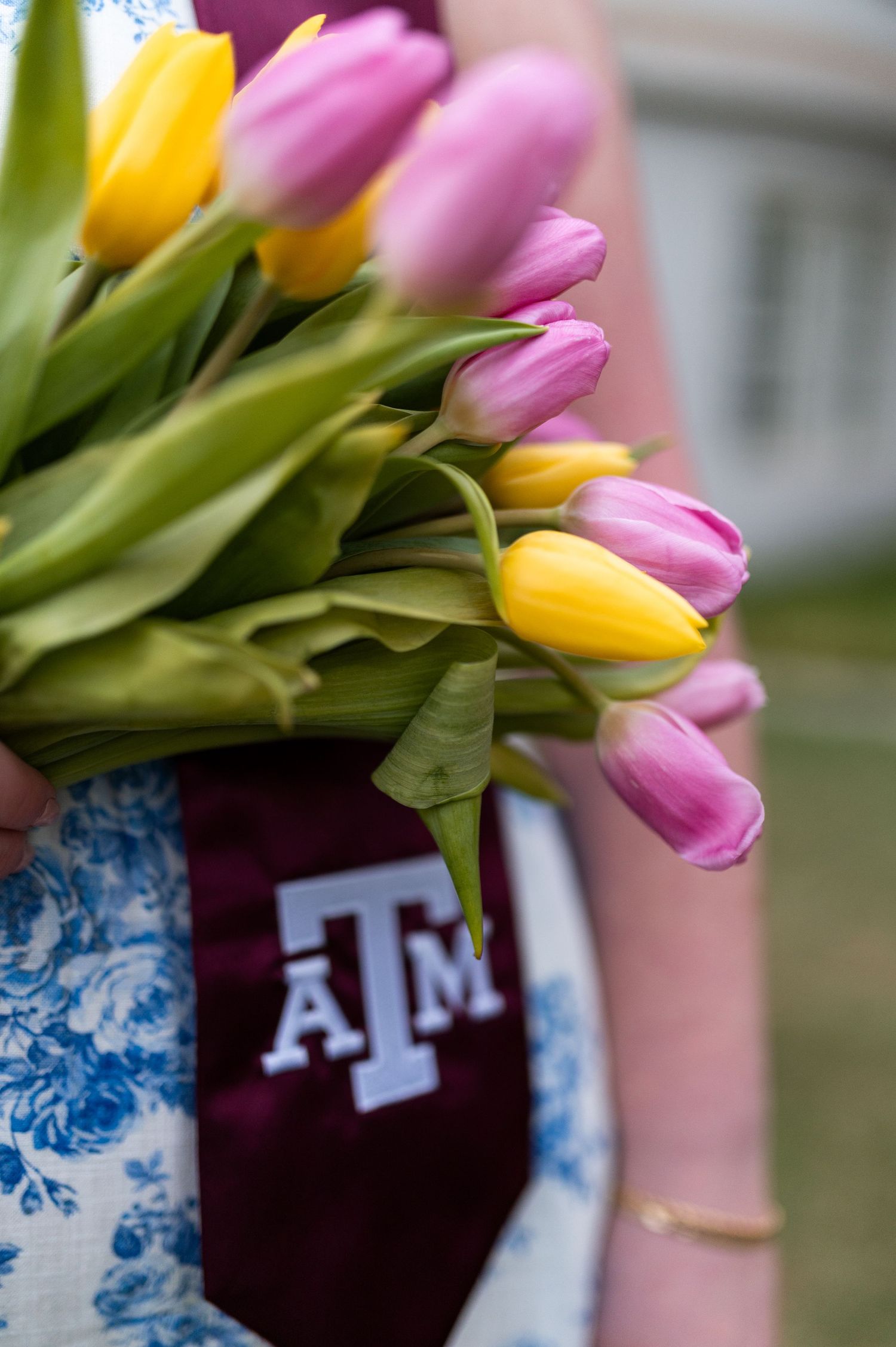 Close-up of pink and yellow tulips held by Texas A&M graduate wearing maroon ATM stole.