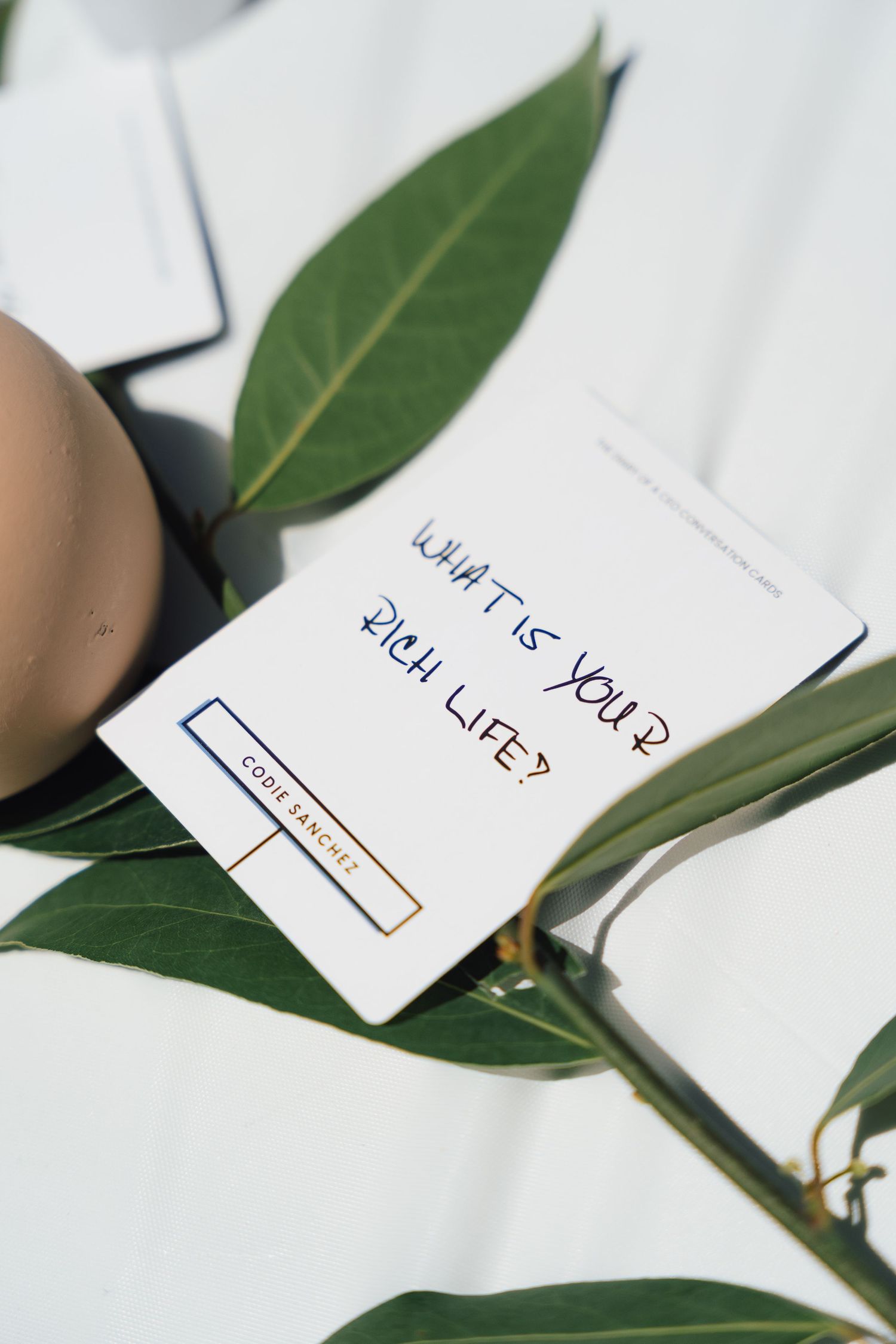 Place cards with handwritten names rest among fresh green bay leaves on a white surface.