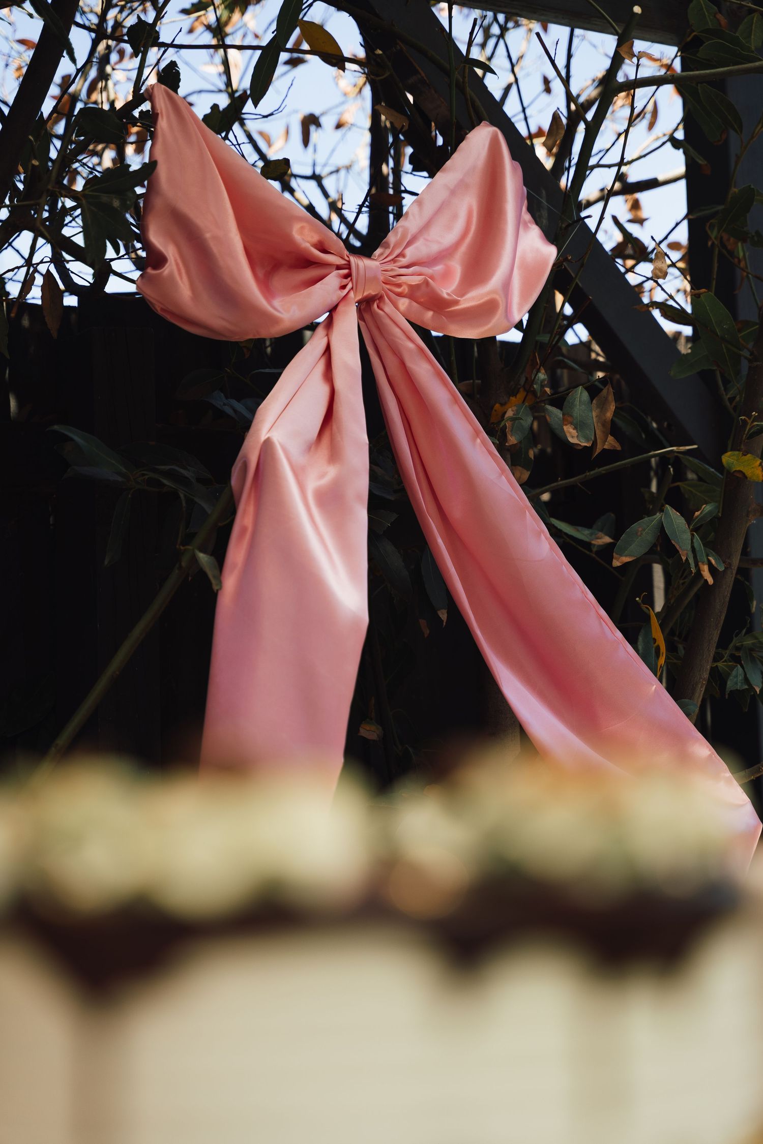 A delicate pink satin bow decorates a tree branch against a dark background.