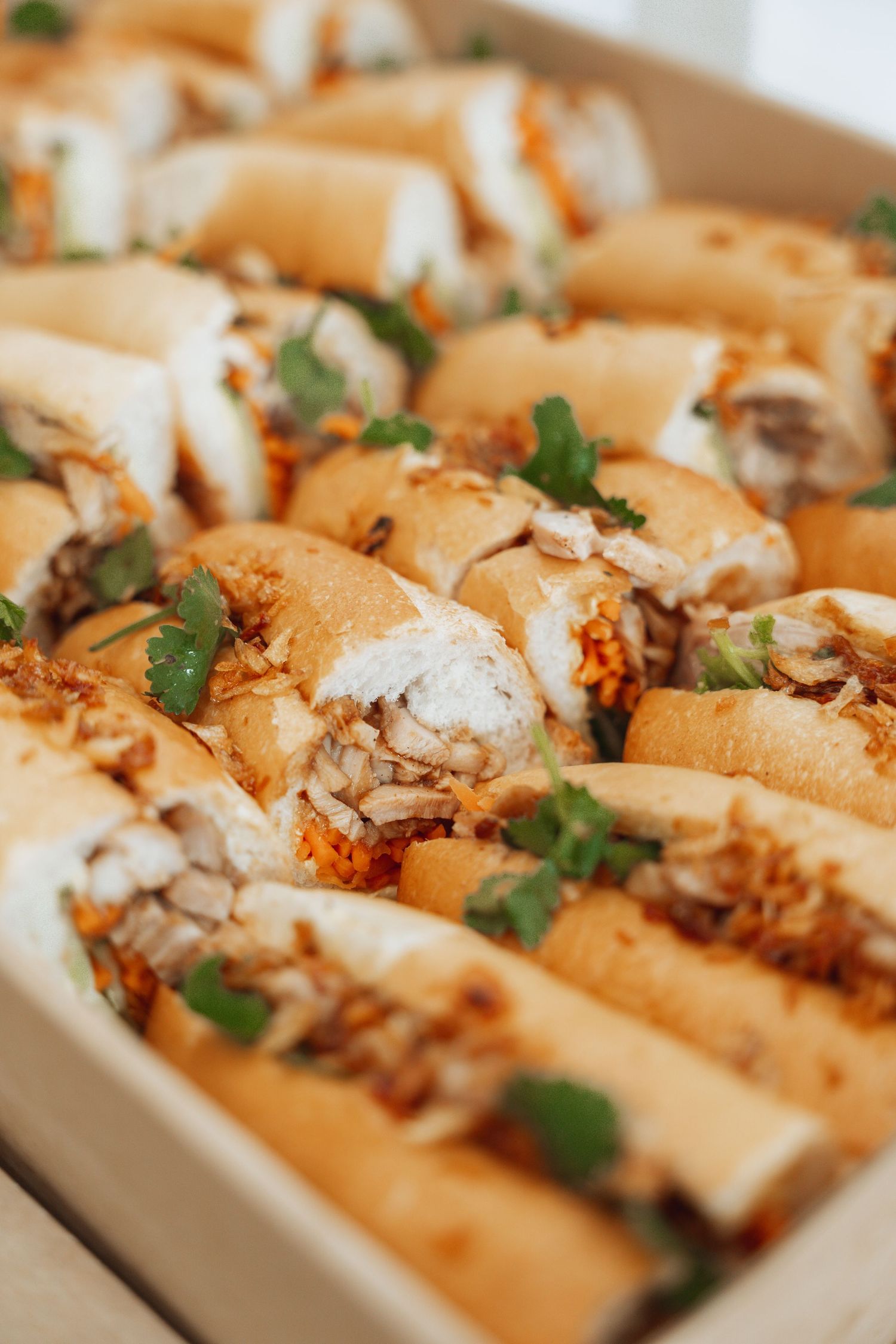 Close-up view of gourmet sandwiches garnished with fresh herbs and toppings arranged in a row.