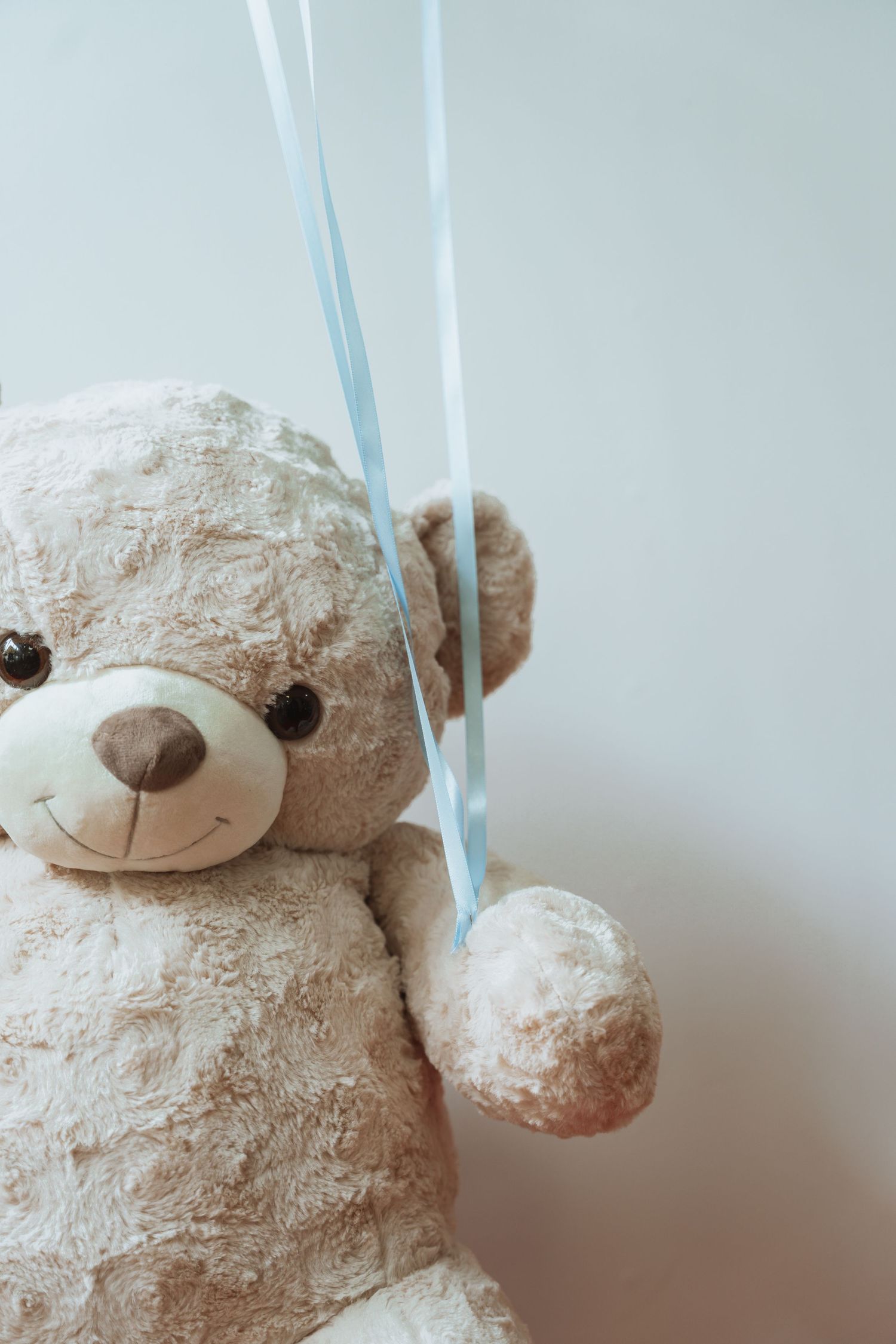 A series of four close-up shots showing a plush teddy bear from different angles with light blue ribbons.