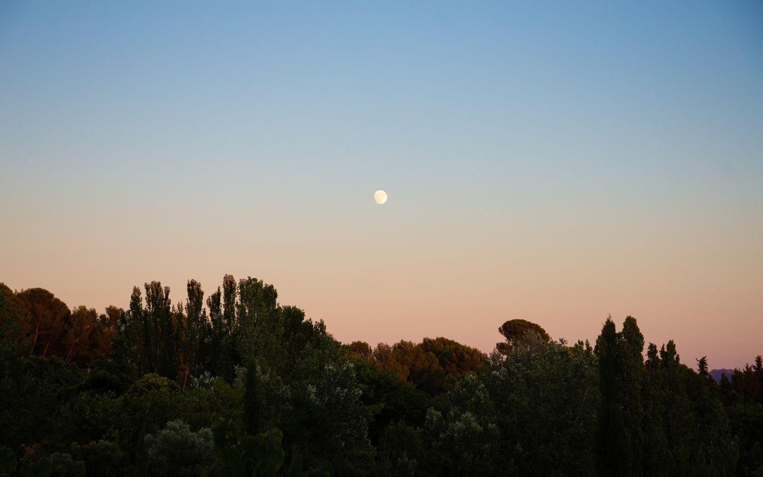 Full moon and midnight sky.