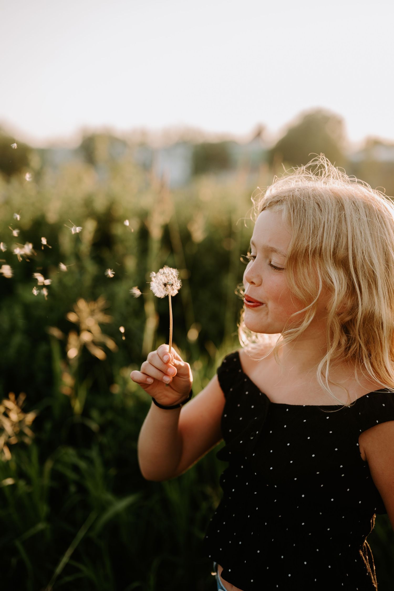 Young blonde girl blowing dandelion seeds in a sunlit green field, wearing a black polka dot dress.