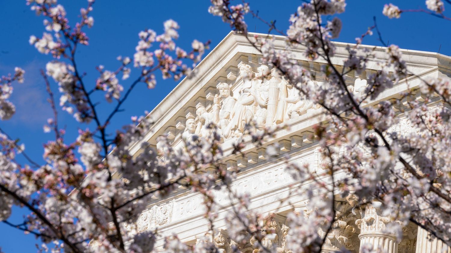 White neoclassical building facade adorned with sculptures, framed by blooming cherry blossom branches against a clear blue sky.