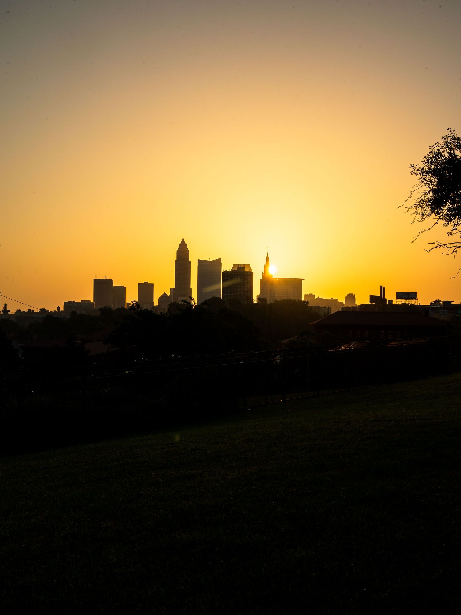 Golden sunset silhouettes a city skyline against a vibrant orange sky, viewed from a lush green park.