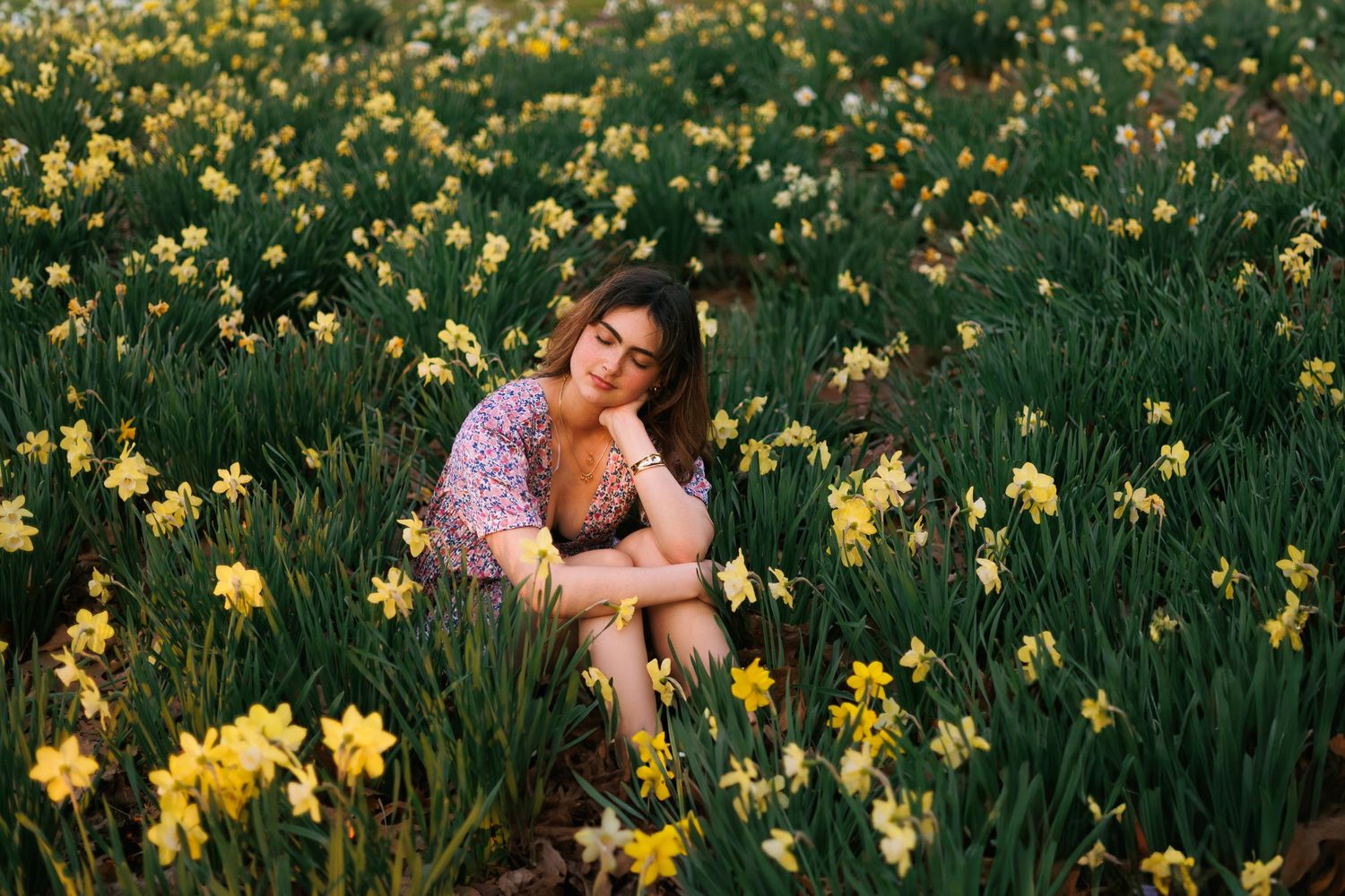 Field of bright yellow daffodils blooming in springtime with someone enjoying the flowers.