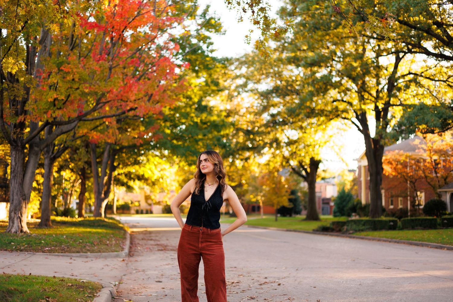 Tree-lined path with fall foliage and white fence in warm evening light.