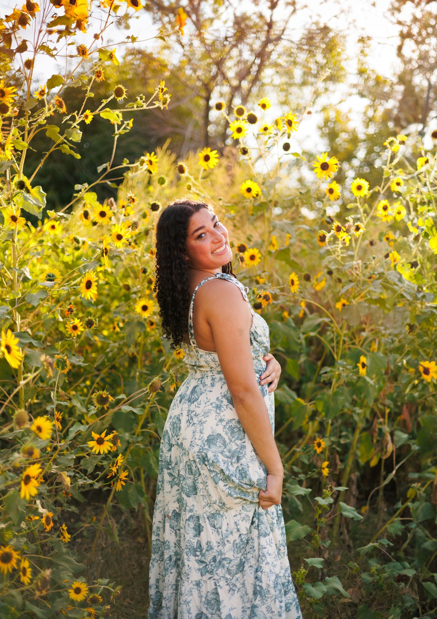 Sunflower field glows during golden hour with yellow blooms stretching into distance.
