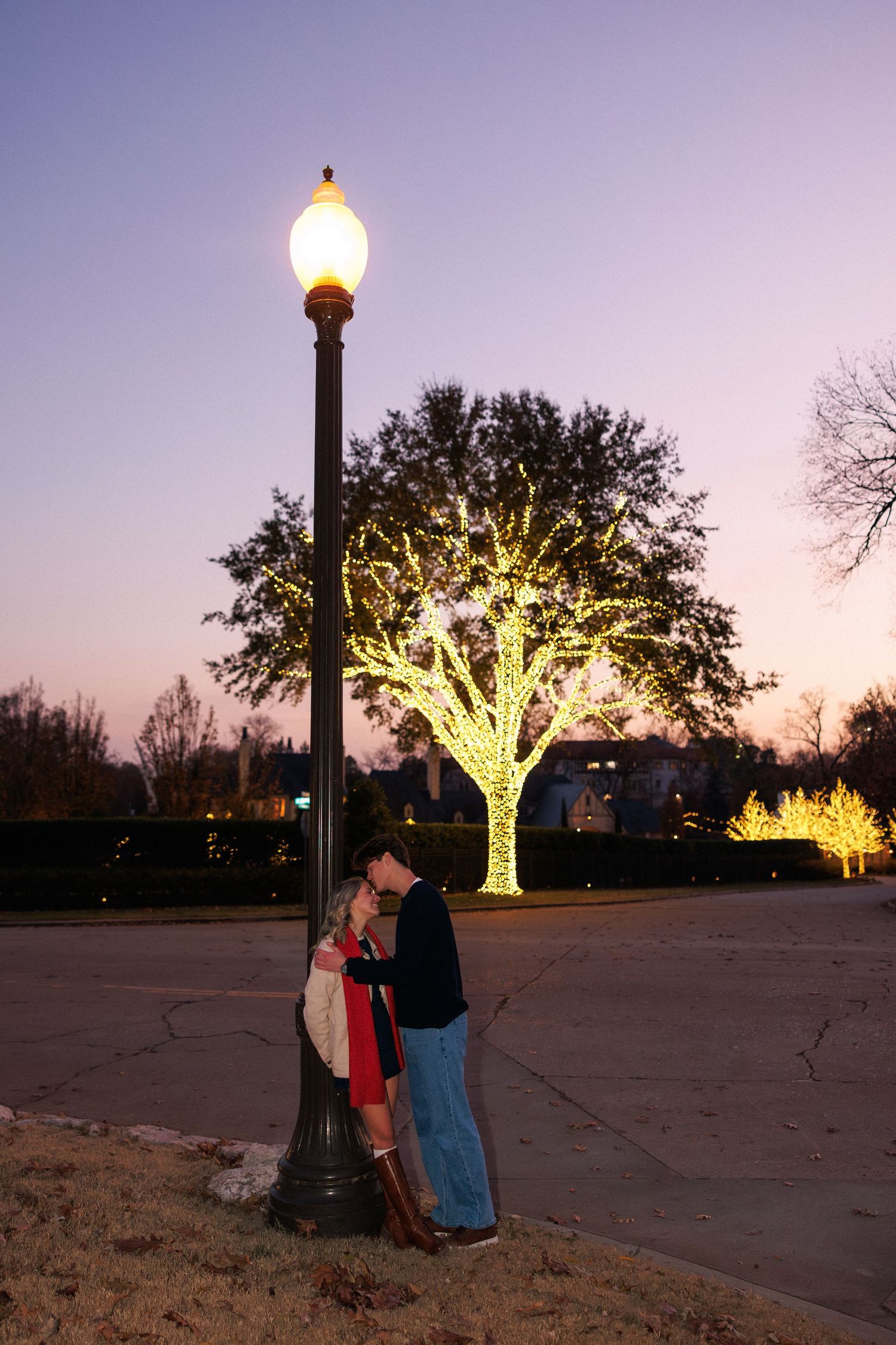 A romantic evening scene with illuminated trees and lamp posts at dusk.