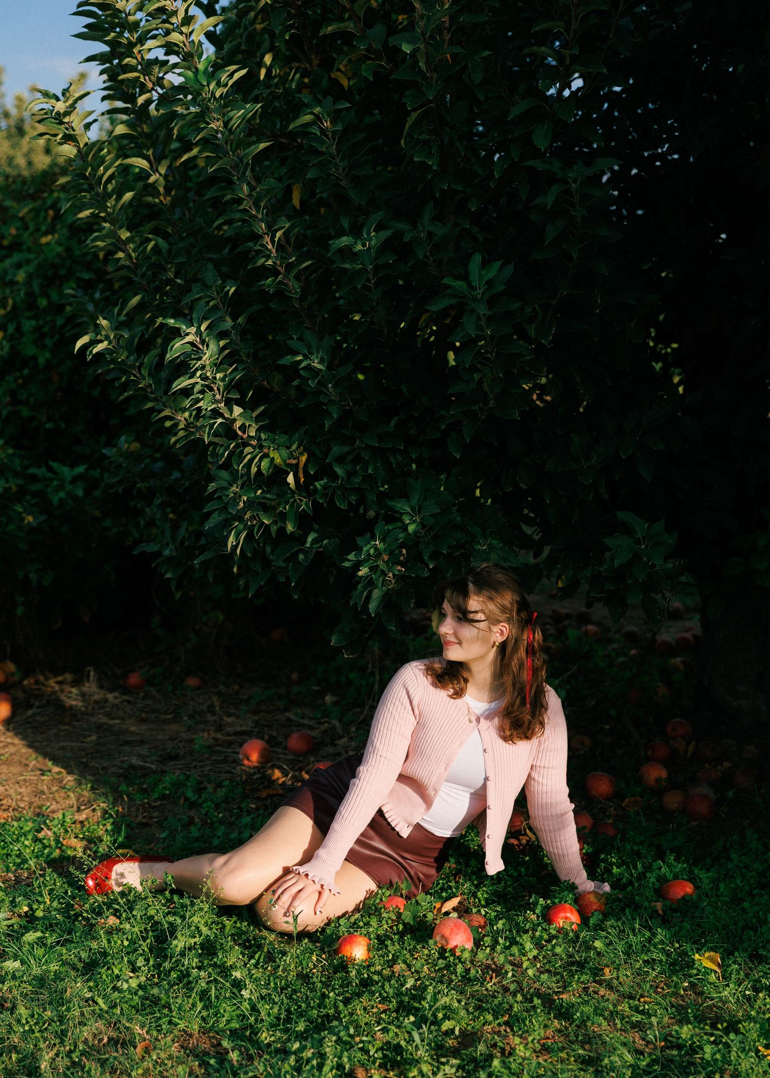 A person in a pink dress lying in an orchard gathering fallen oranges from the ground.