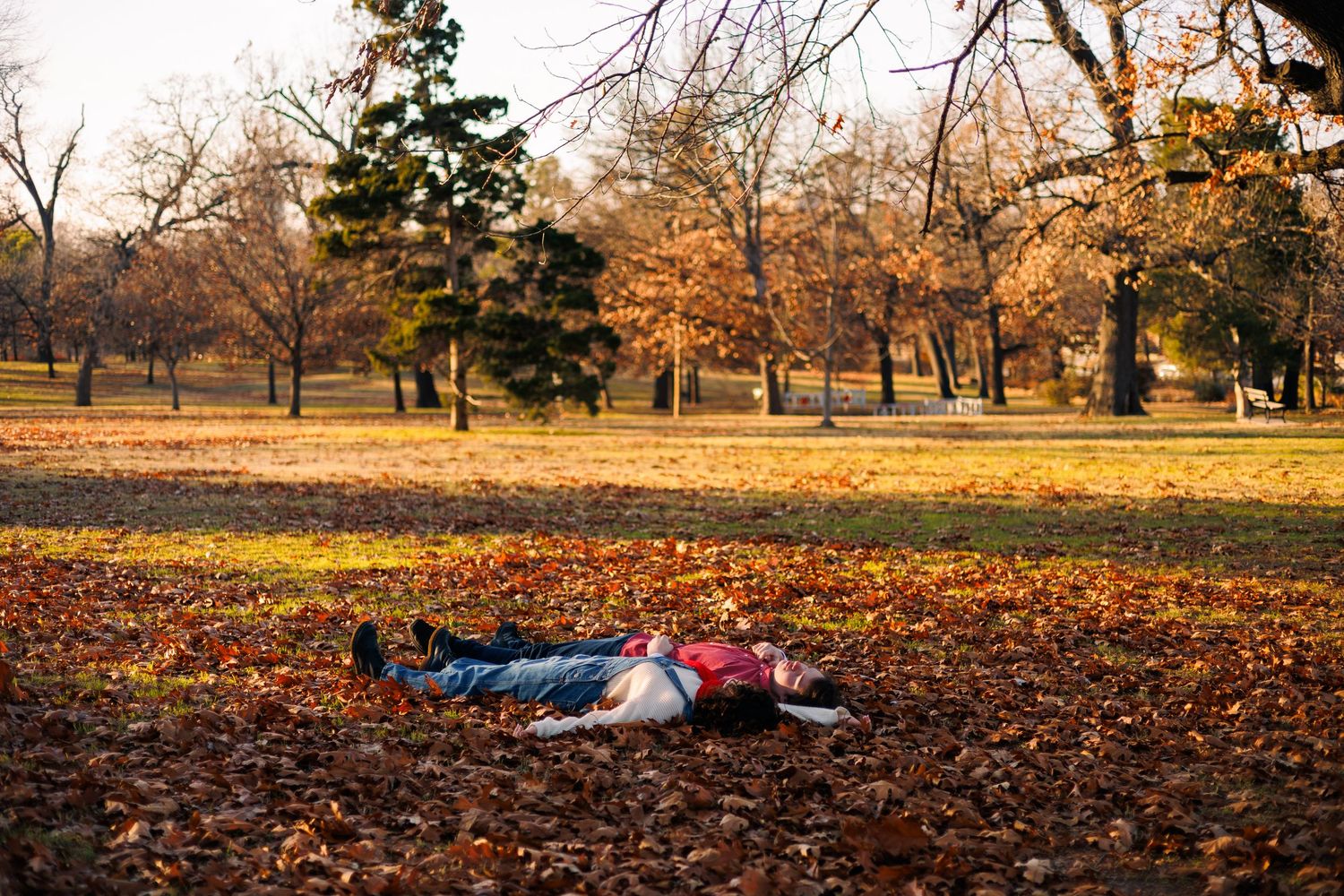 A couple lying in fallen autumn leaves during golden hour in a park.